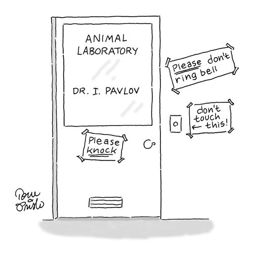 Pavlov's Dog.