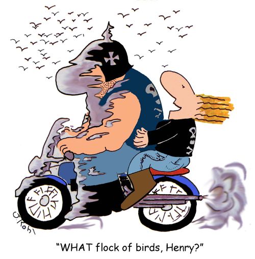 'What flock of birds, Henry'