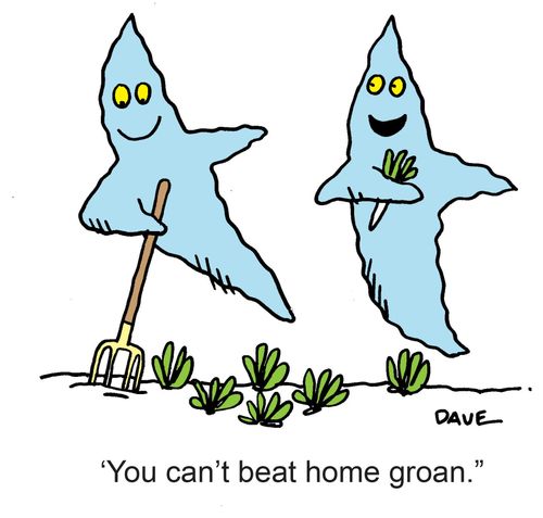 'You can't beat home groan.'