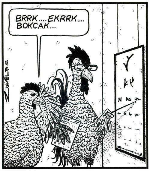 'Brrk...Ekrrk...Bokcak...' (a chicken having an eye test)