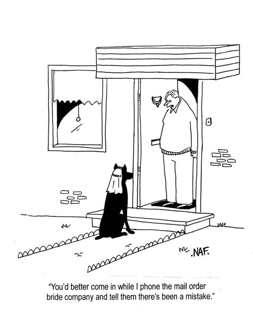 'You'd better come in while I phone the mail order bride company and tell them there's been a mistake.'