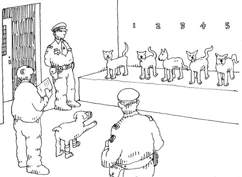 Dog pointing at a line of cat suspects.