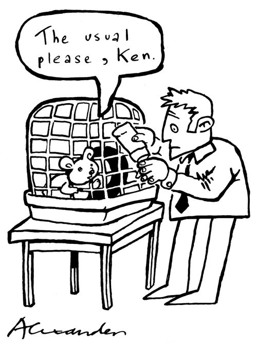 "The usual, please, Ken."