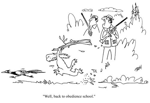 'Well, back to obedience school.'