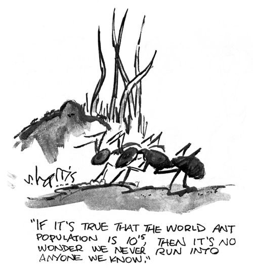 'If it's true that the world ant population is 10 to the power of 15, then it's no wonder we never run into anyone we know.'