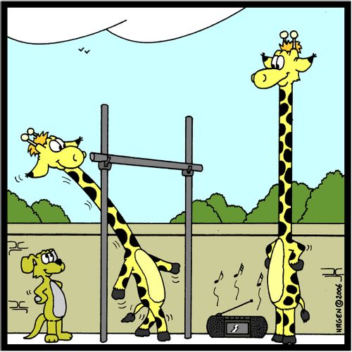 Giraffe Limbo.
