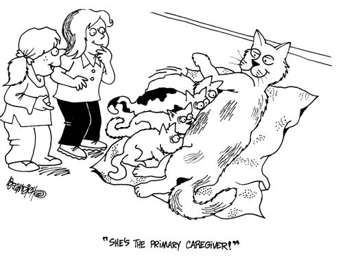 'She's the primary caregiver!'