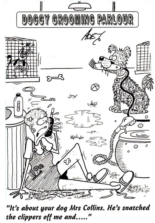 "It's about your dog, Mrs Collins.  He's snatched the clippers off me and..."