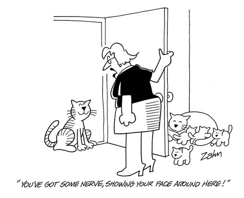 'You've got some nerve, showing your face around here!'