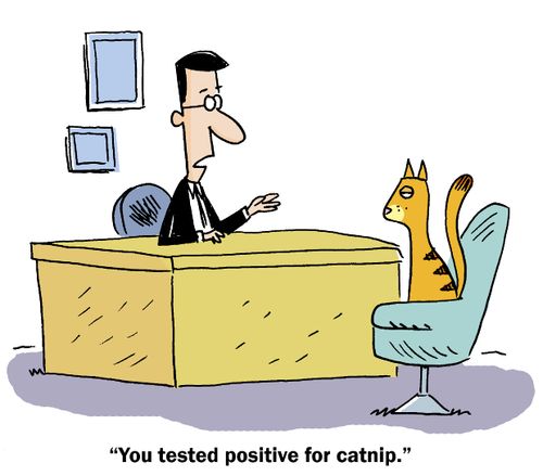 "You tested Positive for Catnip."