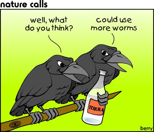 "Well, what do you think?"  "Could use more worms?"