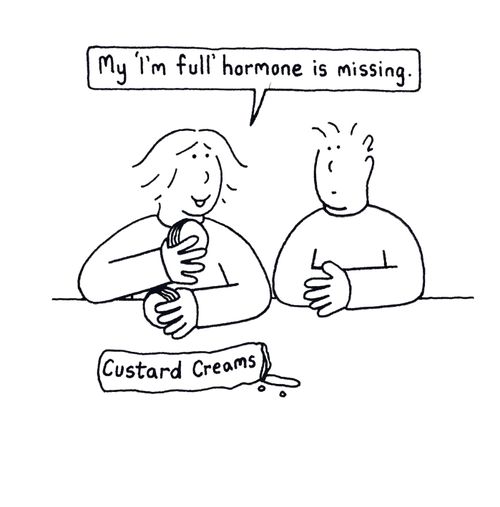 My 'I'm full' hormone is missing.