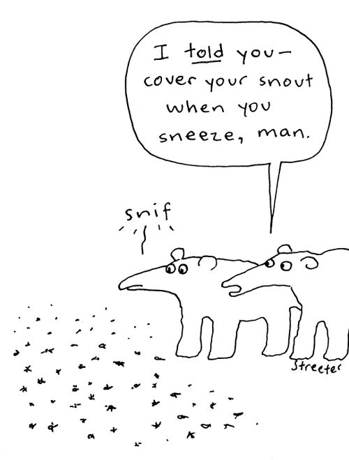 Anteater - cover your nose when you sneeze, man.