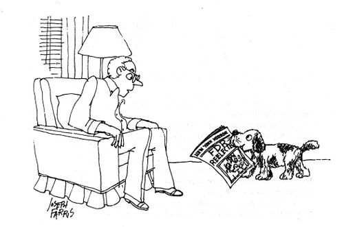 Dog bringing old newspaper to master
