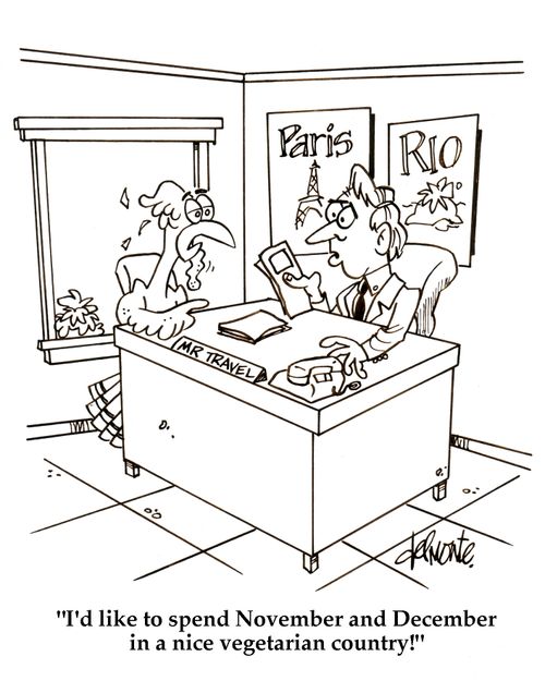 'I'd like to spend November and December in a nice vegetarian country!'