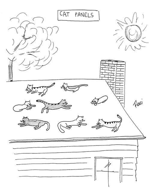 Cats Sunbathing.