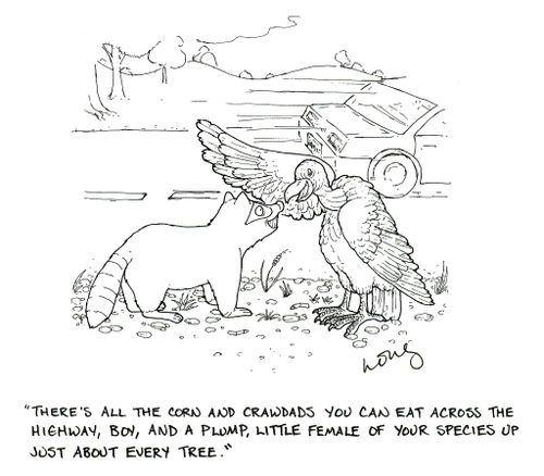 'There's all the corn and crawdads you can eat across the highway, boy, and a plump, little female of your species up just about every tree.'