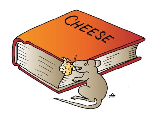 A Mouse Nibbles on Cheese Book
