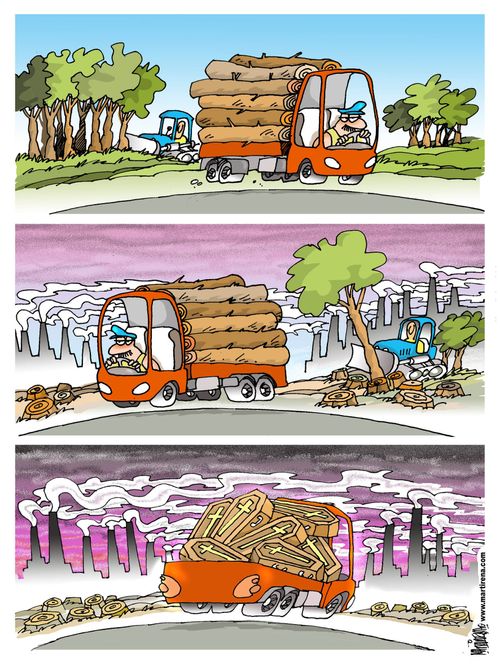 Deforestation.