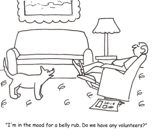 'I'm in the mood for a belly rub. Do we have any volunteers?'