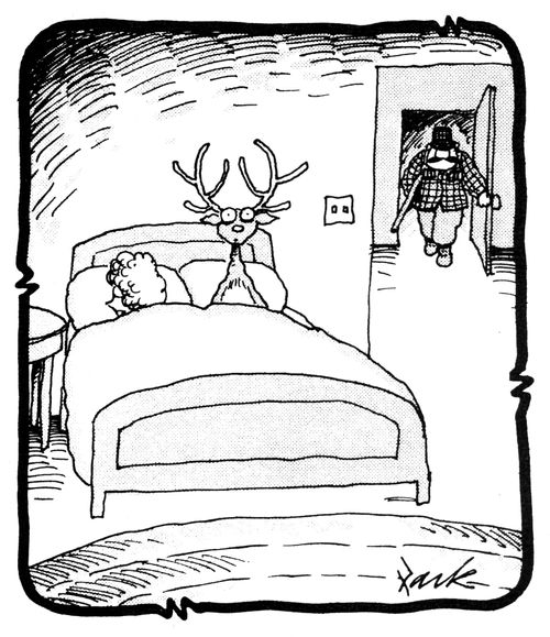 Deer in bed with hunter's wife.