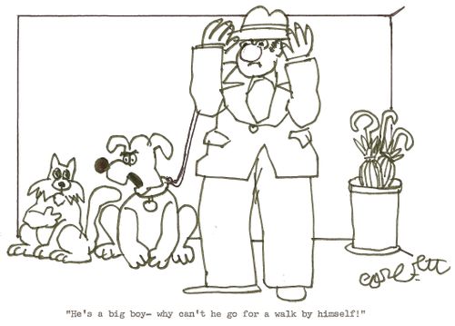 'He's a big boy- why can't he go for a walk by himself!'