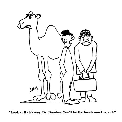 'Look at it this way, Dr. Dresher.  You'll be the local camel expert.'