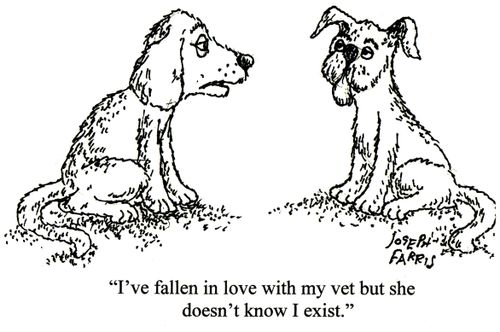 'I've fallen in love with my vet but she doesn't know I exist.'