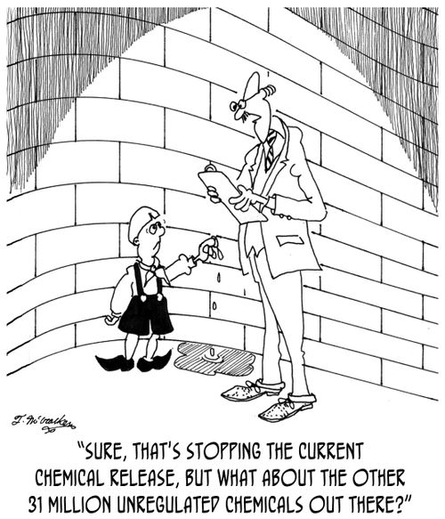 'Sure, that's stopping the current chemical release, but what about the other 31 million unregulated chemicals out there?'