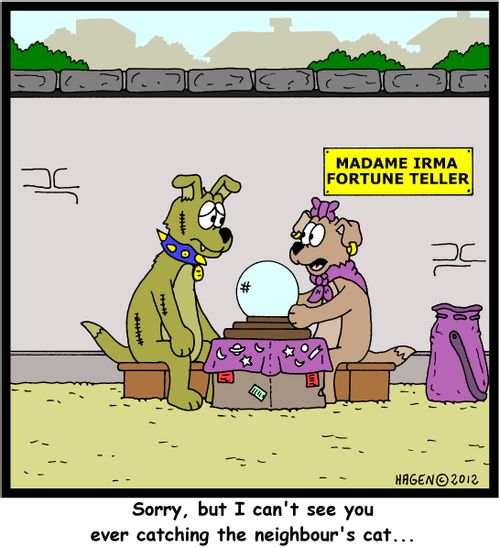 'Sorry, but I can't see you ever catching the neighbour's cat...'