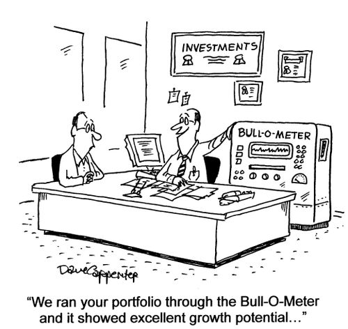 'We ran your portfolio through the Bull-O-Meter and it showed excellent growth potential. . .'
