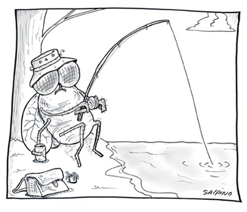 Fly fishing.