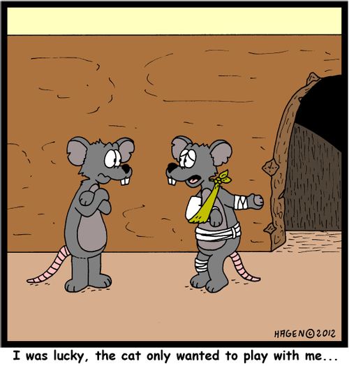 'I was lucky, the cat only wanted to play with me...'