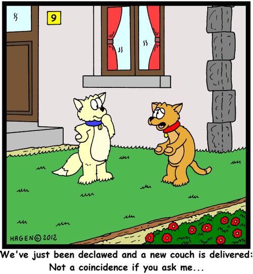 'We've just been declawed and a new couch is delivered: Not a coincidence if you ask me...'