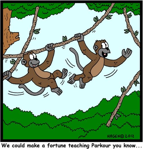 'We could make a fortune teaching Parkour you know...'