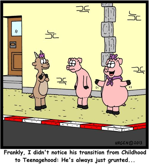 'Frankly, I didn't notice his transition from Childhood to Teenagehood: He's always just grunted...'
