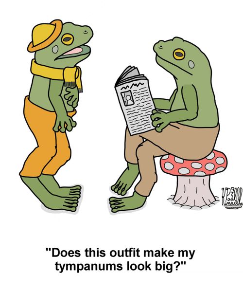'Does this outfit make my tympanums look big?'