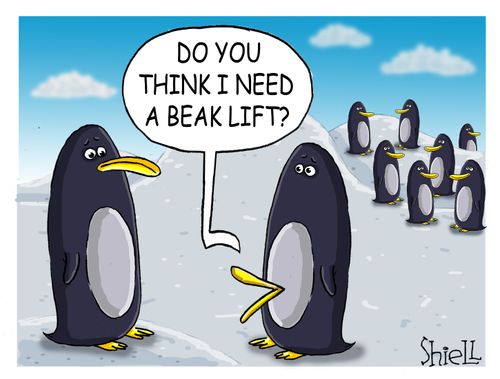 'Do you think I need a beak lift?'