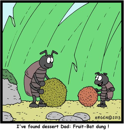 'I've found dessert Dad: Fruit-Bat dung!'