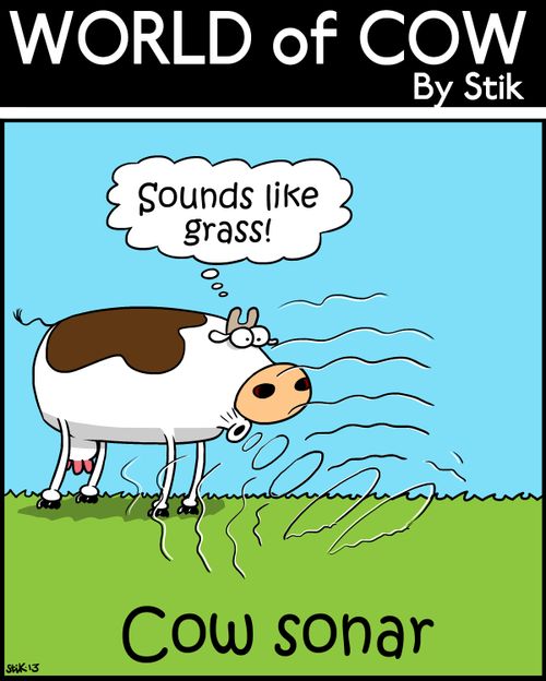 Cow Sonar