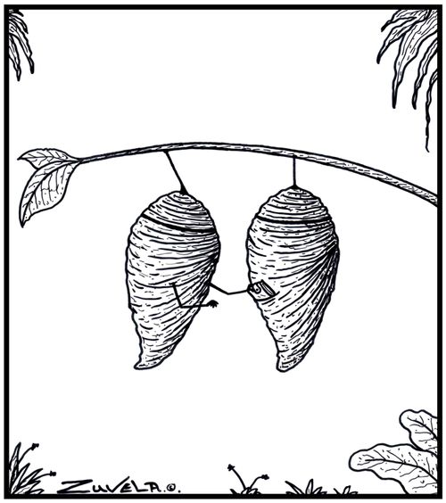 A Cocoon stealing another Cocoon's wallet.