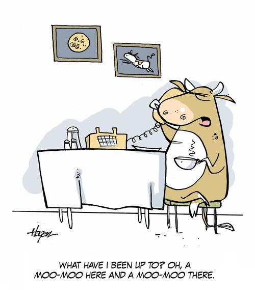 'What have I been up to? Oh, a moo-moo here and a moo-moo there.'