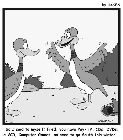 'So I said to myself: Fred, you have Pay-TV, CDs, DVDs, a VCR, Computer Games, no need to go South this winter...'