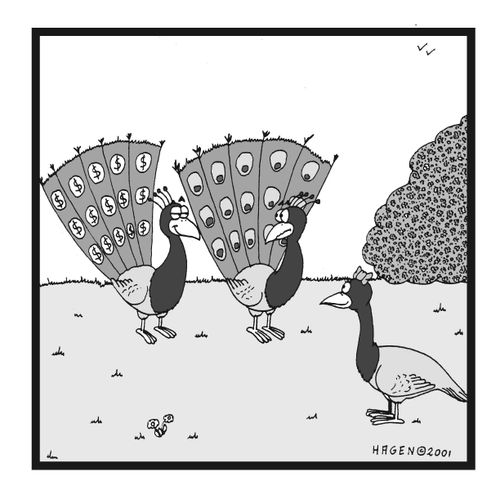 Homosexual peacock.