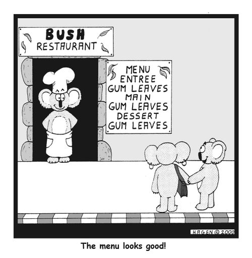 The menu looks good!