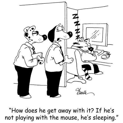 'How does he get away with it? If he's not playing with the mouse, he's sleeping.'