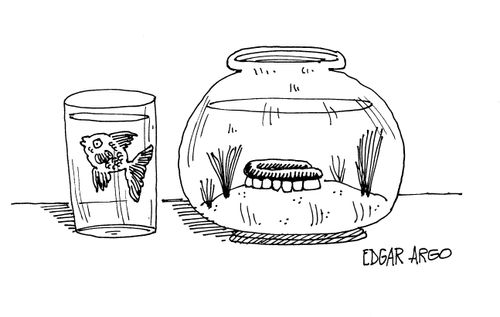 Fish in glass, teeth in tank.