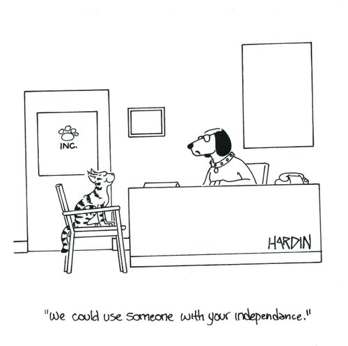 'We could use someone with your independence.'
