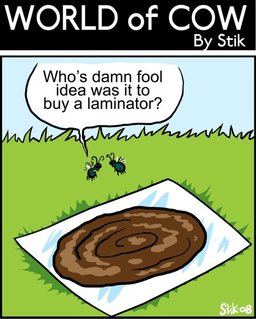 Who's damn fool idea was it to buy a laminator?
