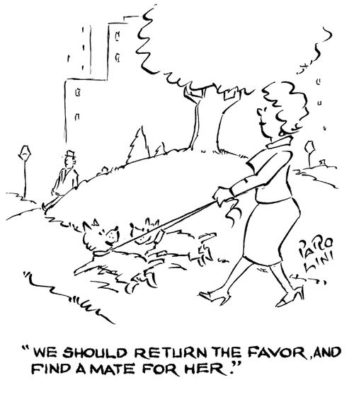 'We should return the favor, and find a mate for her.'